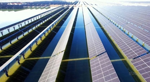 山東?；胶忭?xiàng)目